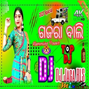 AMLA GACHER TOLE( JHUMAR FULL MATAL DANCE MIX 2025)DJ JITU BARIPADA.mp3