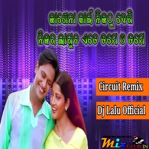 Janena Kahin Nijathu Besi Nijara Lagucha Ete Tame (Odia 90s Circuit Remix) Dj Lalu Official.mp3