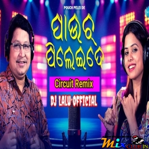 Pouch Pelei De - (Slow Circuit 2025) Dj Lalu Official Remix.mp3