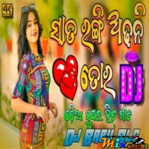 Sapanara Ara Pari Gaan (Odia Romantic Love Song Remix) Dj Babu Bls-(MIxClub.In).mp3