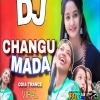 To Duare Haba Changu Mada Vs Dalema Panner (Trance Mix) Dj Oye Debashis (MIxClub.In)