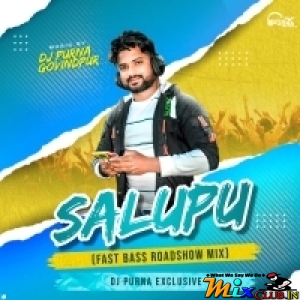 Salupu Olammo Noppi (Fast Bass Roadshow Mix) DJ Purna Exclusive.mp3